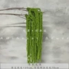 Green (the corresponding color picture is the result of two flowers)