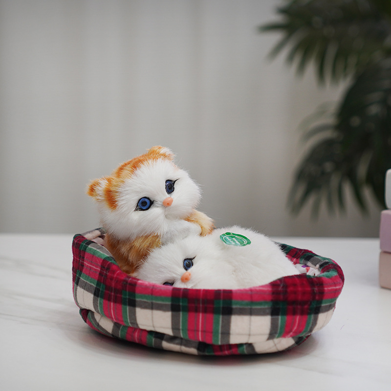 둥지와 함께 두 명의 페르시아 고양이가 전화합니다.