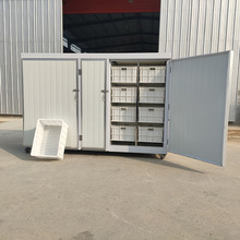 ɽ|ѿCOS ȫԄӶѿCa ѭhaÿ