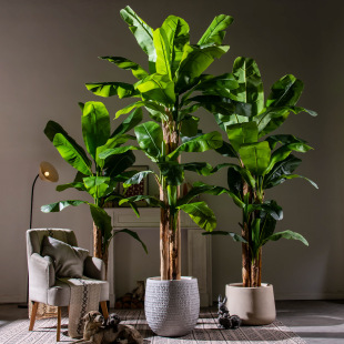 ���ͷ���Ž���٘�ֲ���҃��쾰�b߶˷����Շ���Gֲ���Ԕ[��