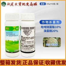 博品 30%吡唑醚菌酯溴菌腈防治西瓜炭疽病喷雾用正品农业药杀菌剂