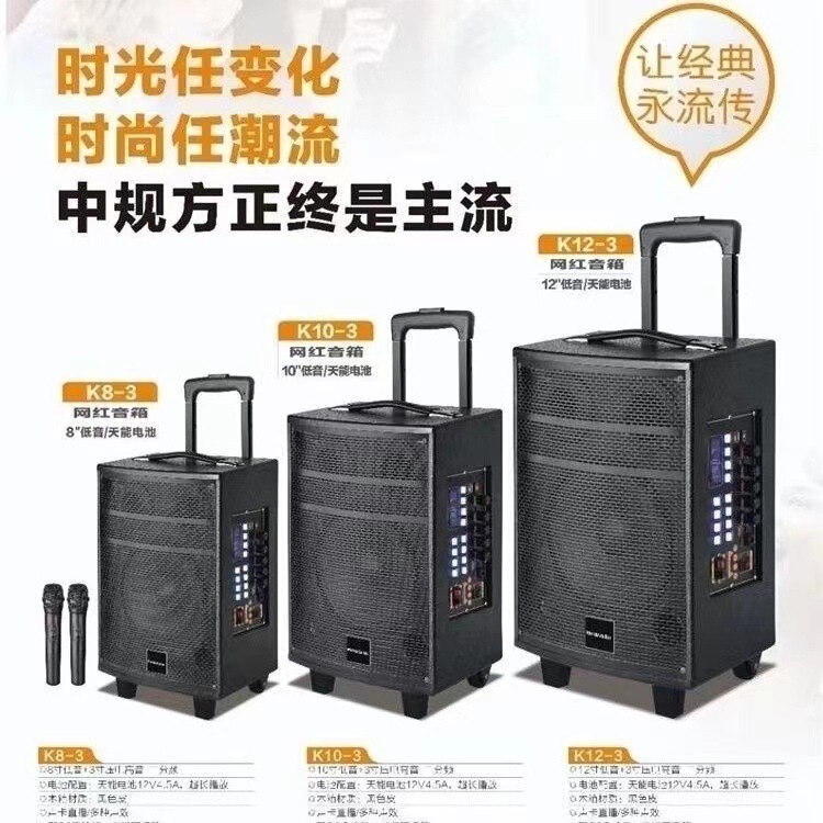 Aihua 8-10-12 inch bass 3 inch treble dual wireless microphone sound square dance large volume mobile professional dance