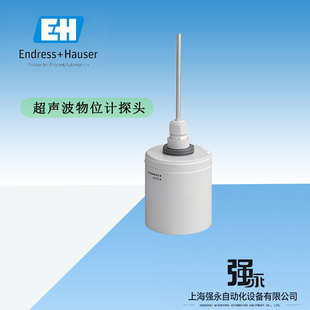 E+H Endresshaus Fdu92-Rg2A Ultrasonic Level Meter Probe Transmitter Liquid 20m Solid 10m