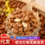 东北开口手剥野生松子