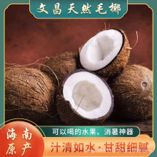 海南老椰子毛椰新鲜批发椰子鸡椰果椰肉榨汁煲汤