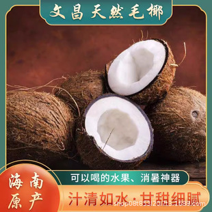 ������Ҭ��ëҬ���r���lҬ���uҬ��Ҭ��ե֭�Ҝ�