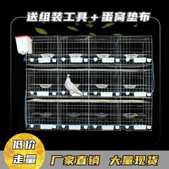 Pigeon cage breeding cage pigeon cage 16-bit meat breeding pigeon breeding cage 12-bit matching cage home pigeon cage