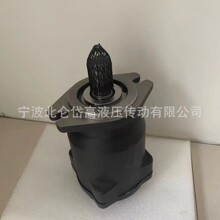 A10FL25-992-1/A10FL40-984-0 输出轴花键或平键矩形轴