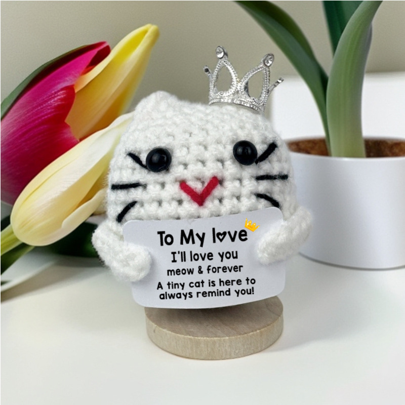 新品跨境亚马逊热销 Crochet Positive ice cream 毛线玩偶励志卡|undefined