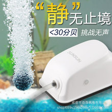 ɭɭ���JT������С��������p���B�~����������~����