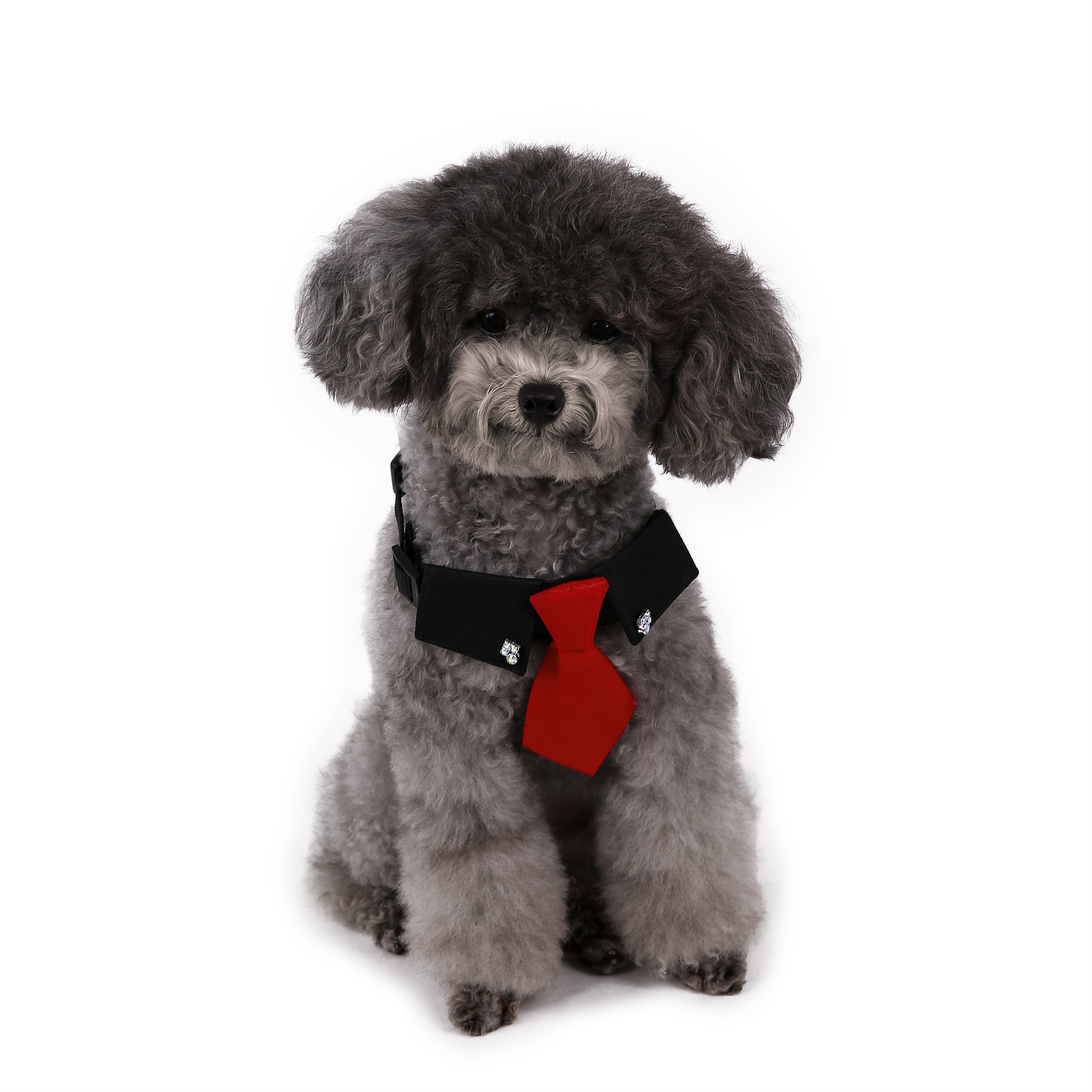 Perro transfronterizo estilo británico guapo traje de boda ropa de perro corbata collar decoración al por mayor