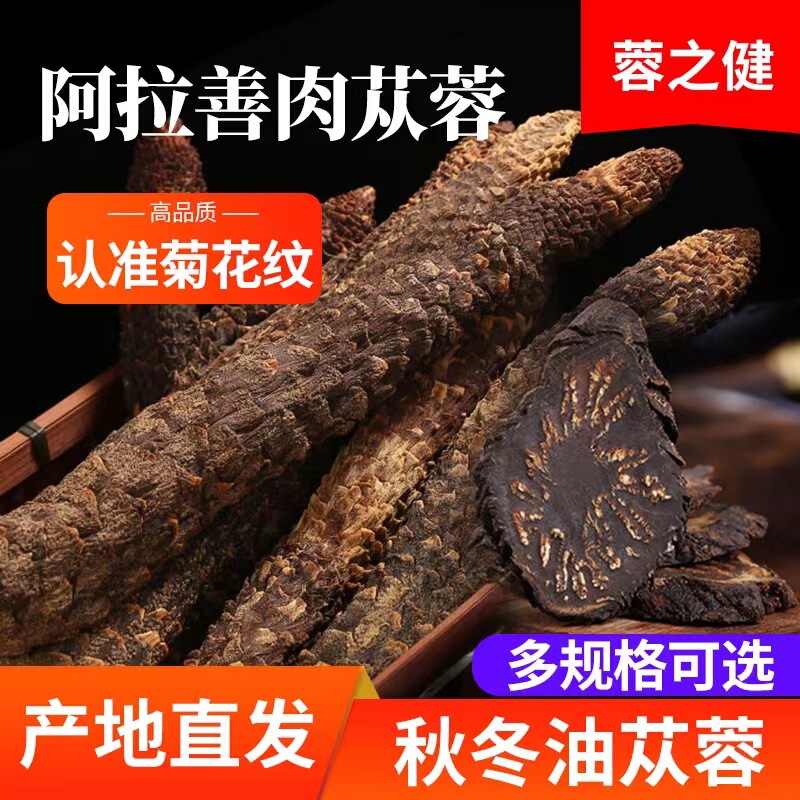 Directly from the Origin, Alxa Cistanche Deserticola, Cynomorium Cynomorium, Inner Mongolia Whole Root Slices Wholesale and Retail, Autum Oil Cistanche Deserticola Soaked in Wine