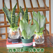 ˮ�໢Ƥ�mˮ�B�ļ��͏d�k�����[���҃ȳ���ȩ��ݗ��Gֲ��������