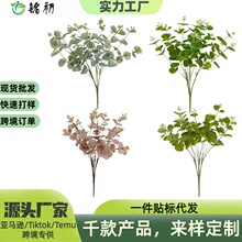 ����3D�^�z�ȼ������X�~���� ���R�d�Ҿ��҃ȾGֲ��ƿ�b[��