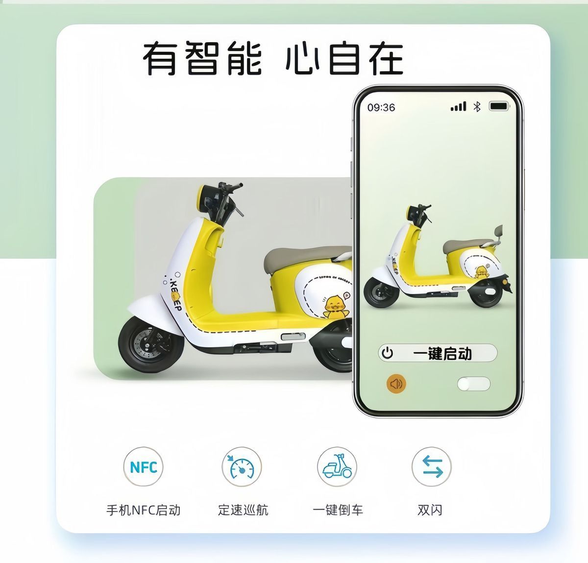 Electric Motorcycle Scooter