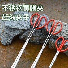 专业赶海装备黄鳝夹黄鳝泥鳅螃蟹抓鱼钳工具不锈钢垃圾夹
