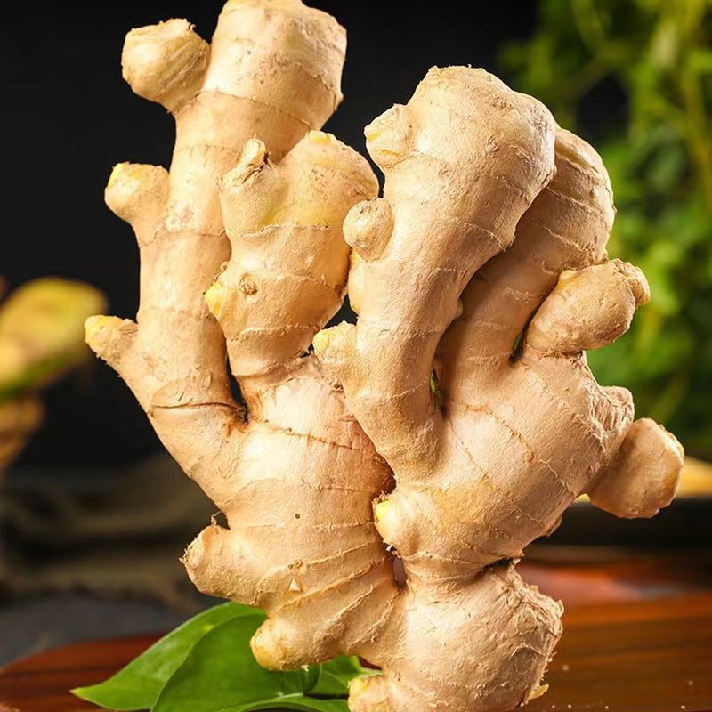 ginger find Happen Ginger ginger fresh Shandong Ginger Manufactor One piece wholesale Manufactor Direct selling