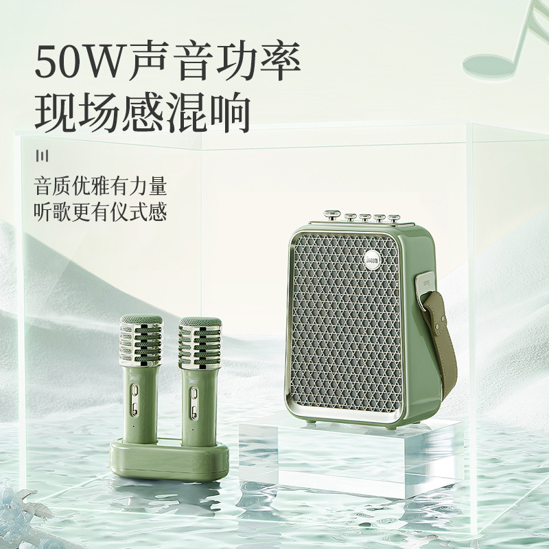 Divoom点音音箱东方青鸾双麦K歌蓝牙音箱家庭ktv音响露营卡拉ok|undefined