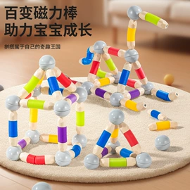 磁力片/球;儿童画板;科学实验玩具