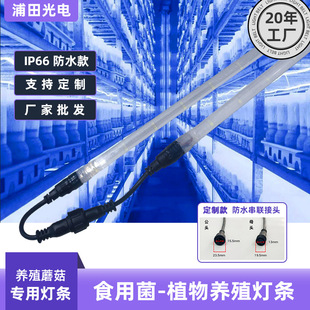 48Vʳ�þ��a���ƽ��Ģ�����׹��S�W��LEDֲ���ȫ���Vȫ���V�׹�