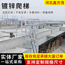 ��\�������l���B������܃�б�ݰ�ȫ��Ӹߙz�������Ŀ���B����