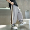 2107 gray