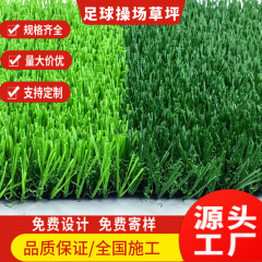 屋外充填フリーフィルサッカープレイグラウンド人工芝生建設幼稚園学校屋上模擬芝生人工芝
