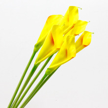 EVAСRɏFҾӘӰgƵ͏dbֱɏzӰ滨