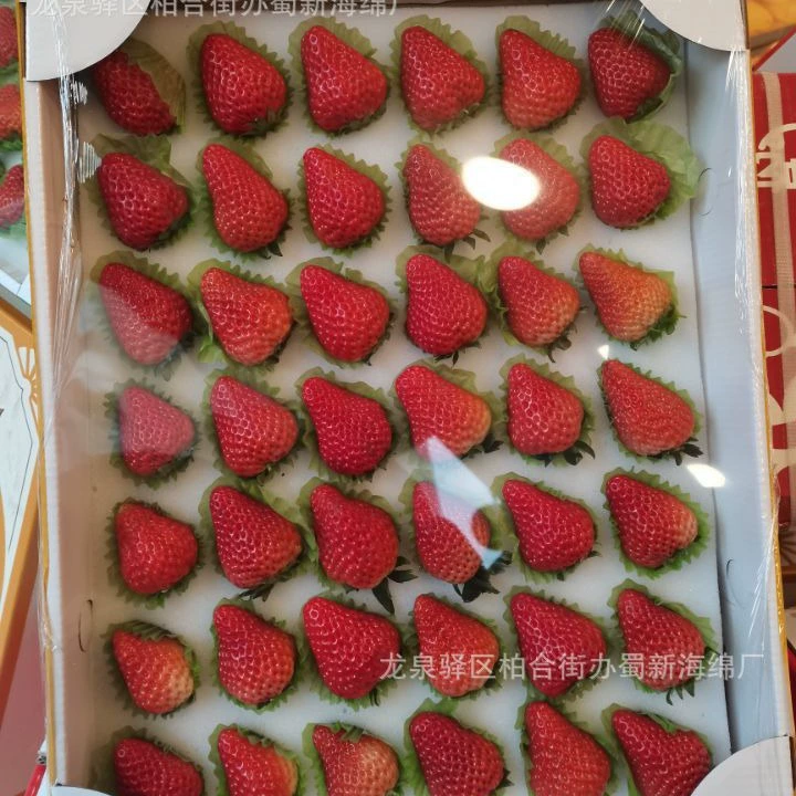 Sponge strawberry