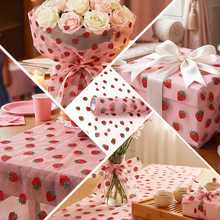 AFJ15cm���۲�ݮ������ɴ������ͯװ�������˽���л����ɶ�װ��