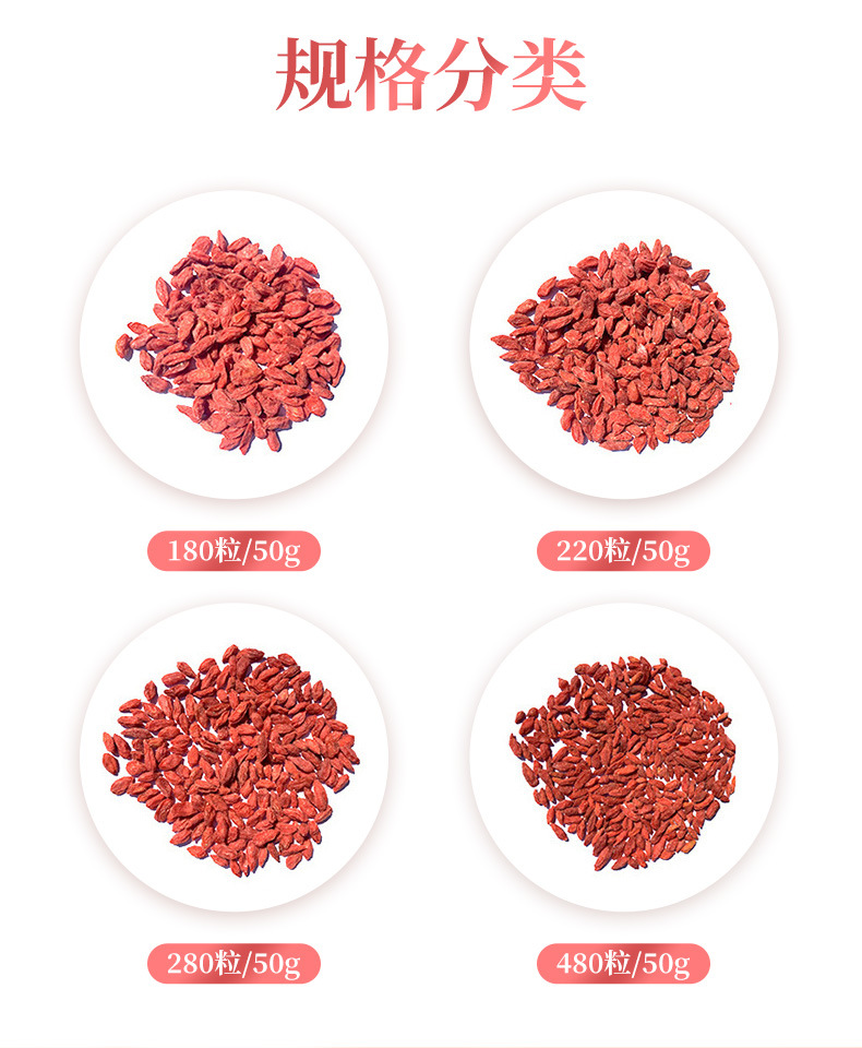 早安情枸杞详情页_02