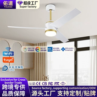 跨境现代简约风扇灯客厅餐厅卧室吊扇灯全光谱变频商用电风扇吊扇