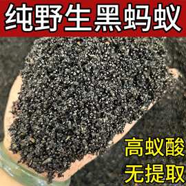 野山广西大黑蚂蚁干拟黑多刺蚁黑蚂蚁500g养生泡酒食用可磨粉