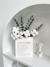 韩风ins绿植树叶创意北欧家居装饰品尤加利纸袋干棉花艺摆件