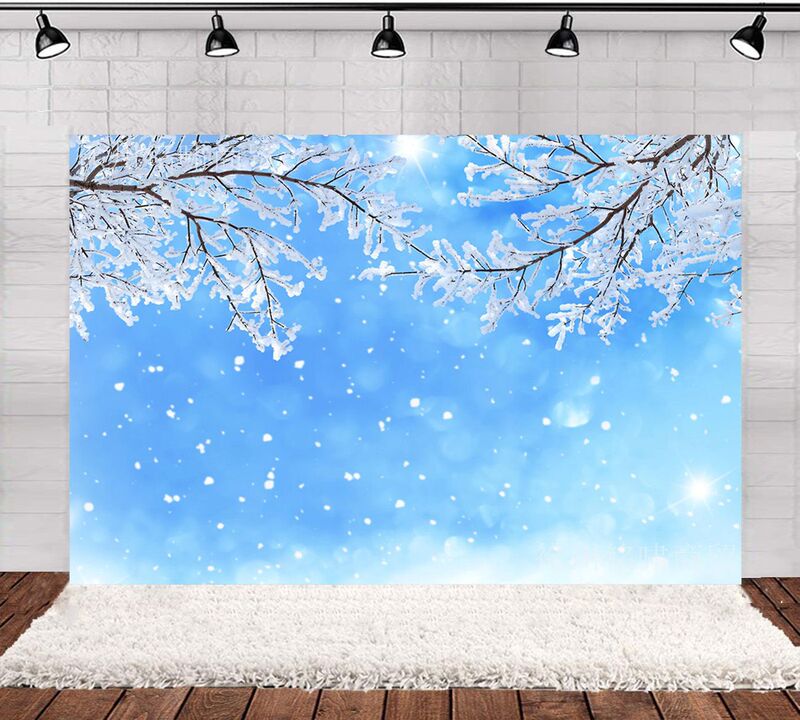 Amazon new ice and snow theme winter snow scene party decoration girl beautiful photo photography background cloth exclusive
