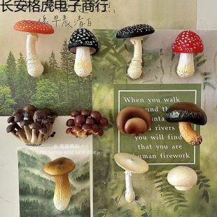 ������Ͼ����㹽Ģ�������N�����b��N����Ҿ��b�Ʒ�����N���w