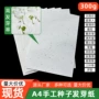 发芽手工散装种植种子纸