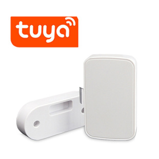 TUYA�����{������iAPP�_�i�����[������i�ļ��������T���i
