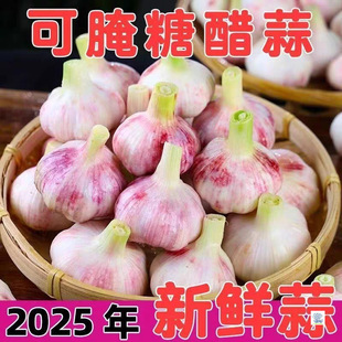 2025��F���ϰ�Ƥ��������r�����r�������������߲�����Դ�^ֱ�l