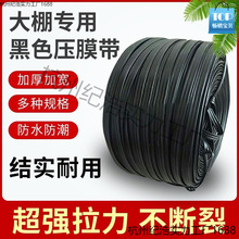 ���N���]���Ҵ��������ɫ��Ĥ�����ϻ���Ĥ�K�ߏ��ȉ�Ĥ����Ĥ��