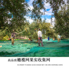 批发HDPE纯新料橄榄网 果实收集网 olive net collectting net