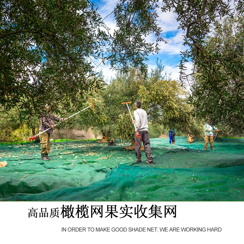 Оптовая продажа HDPE чистый новый материал оливковая сетка для сбора фруктов olive net collectting net