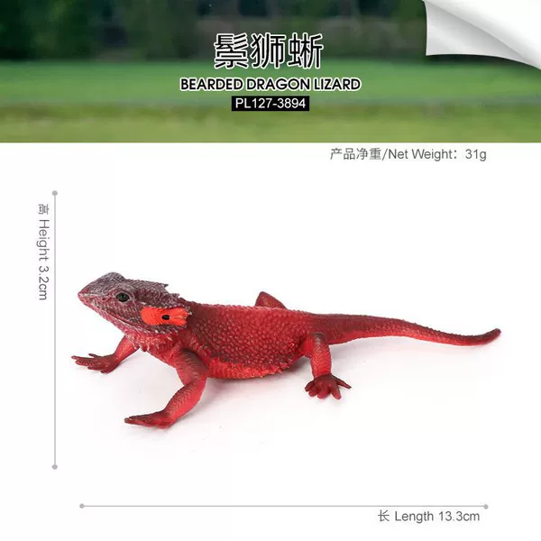 127-3894 Bearded Dragon Lizard