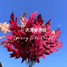 �tɫ��ɫ���~��������~���~��Y�b����Ľ����Y�õ��߻�ˇ