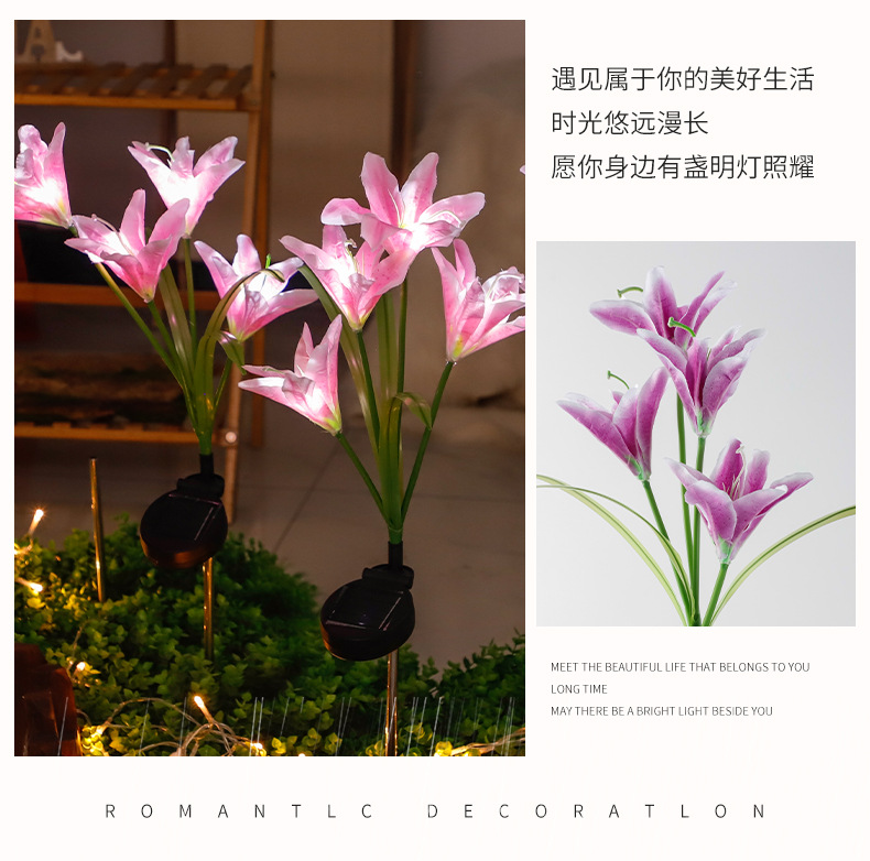 2_03.jpg?x-oss-process=image/format,png