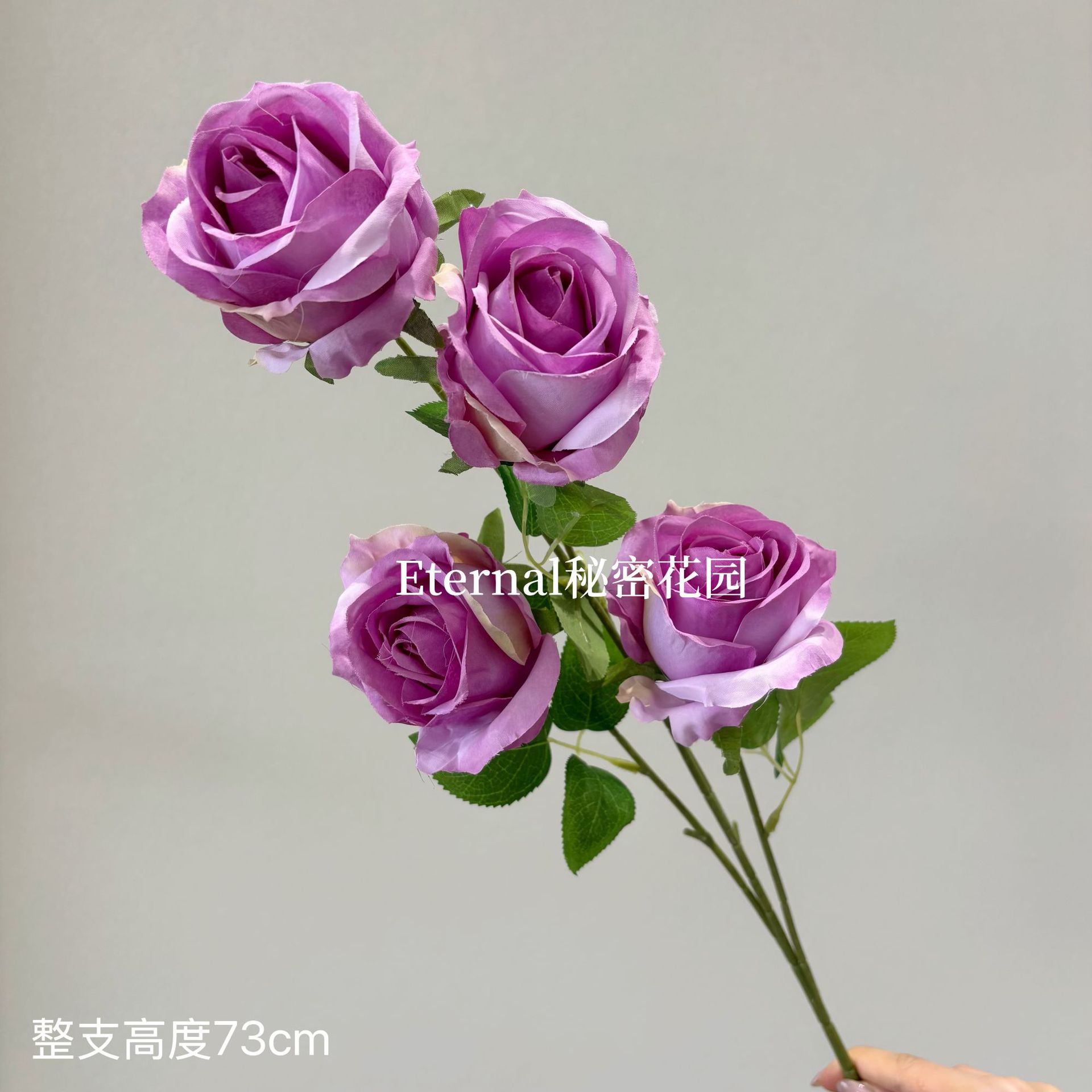 다이애나 로즈 핑크 퍼플