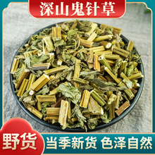 鬼针草材500g野生鬼针草花茶白花鬼针草虾钳草新货