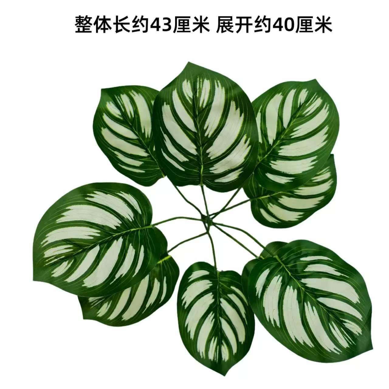Nine-pronged large plant new style no. 24