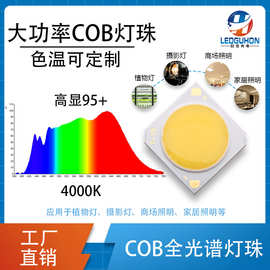 6-60W全光谱COB灯珠植物补光摄影补光模拟太阳光大功率cobLED灯珠