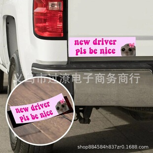 �羳��Ʒ2024 Sad Cat Bestie������؈��Ȥ�ı��U�ܴ��F�N��